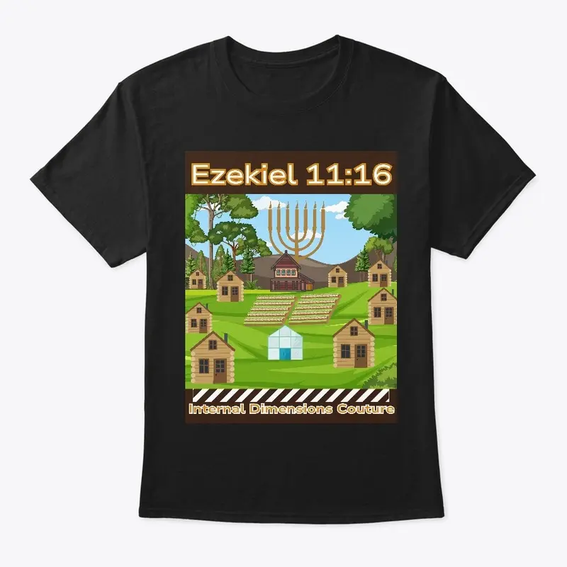 Ezekiel 11:16 Collection 